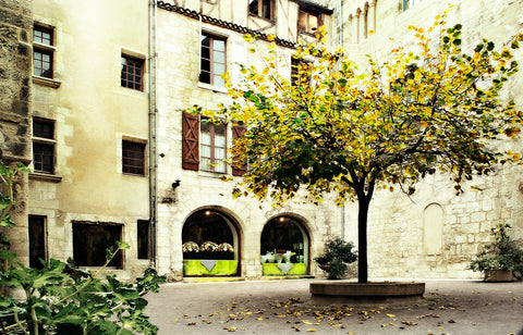 Venetian Courtyard